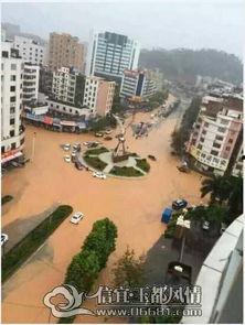 广东信宜最新爆料,揭秘神秘事件背后的真相